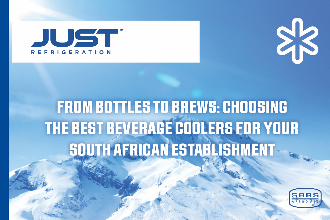 Just Fridge discuss beverage coolers south africa